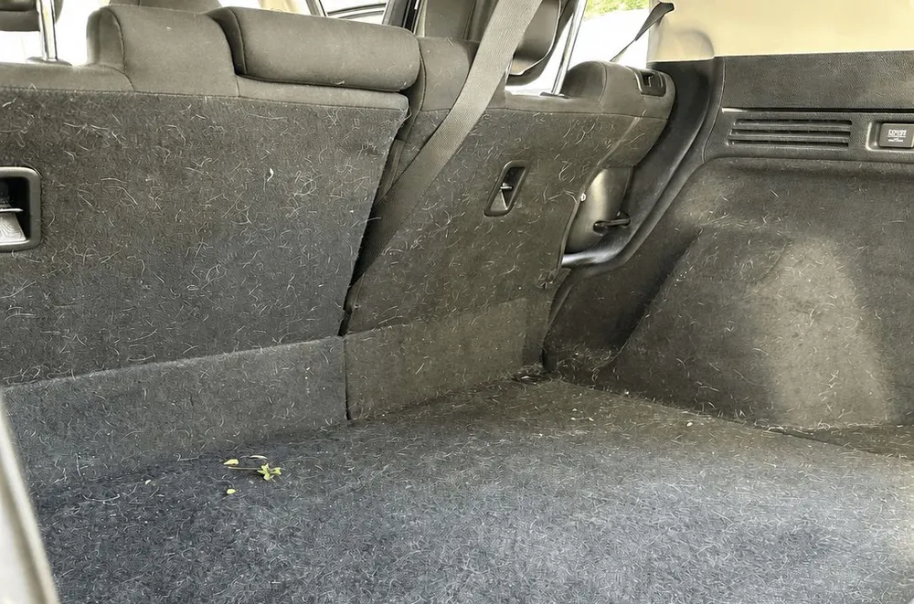 Before: SUV cargo carpet covered in embedded pet hair
