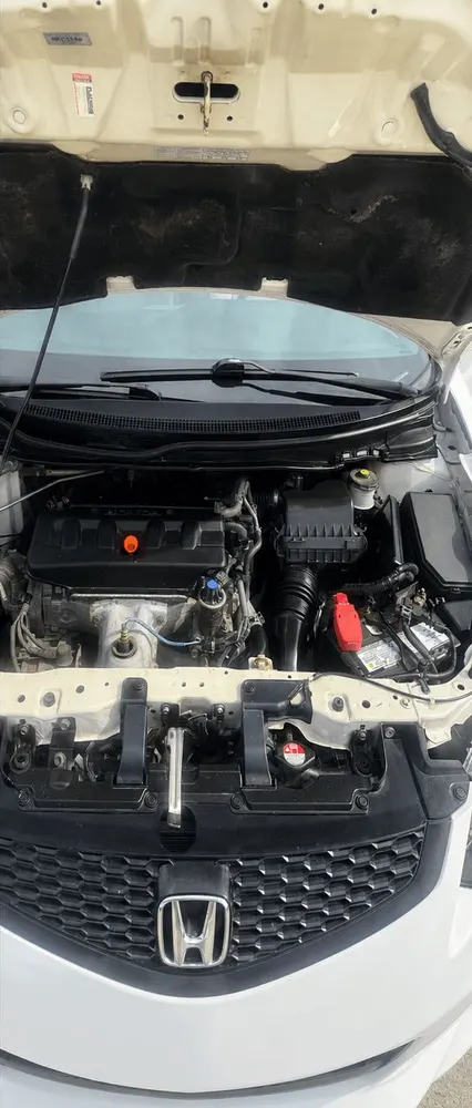 After engine bay cleaning: the same engine bay degreased and dressed