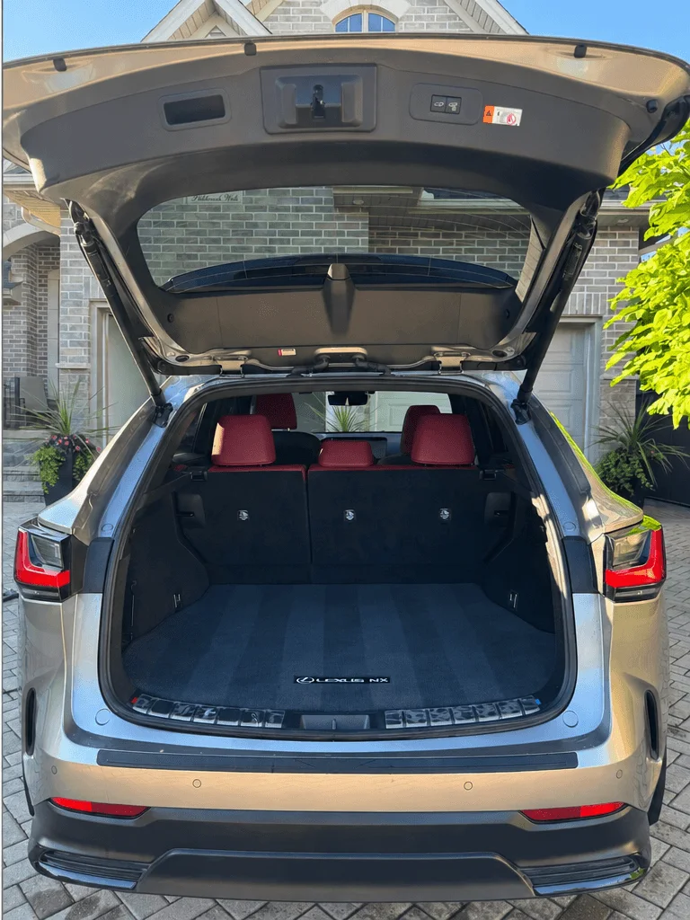 After: the same Lexus NX cargo area vacuumed and clean