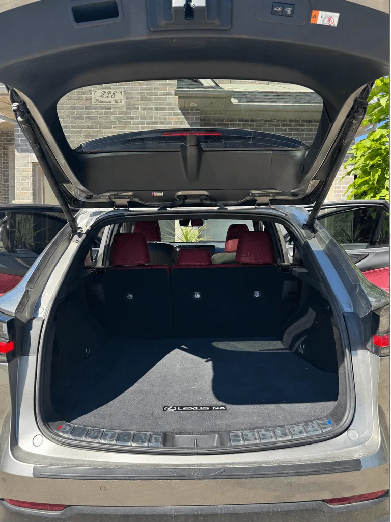 Before: dirty cargo mat and trunk of a silver Lexus NX