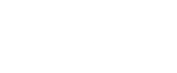 Large Car